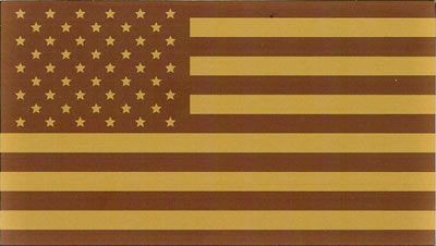 Patch USA Flag Tan 8x4,4cm.